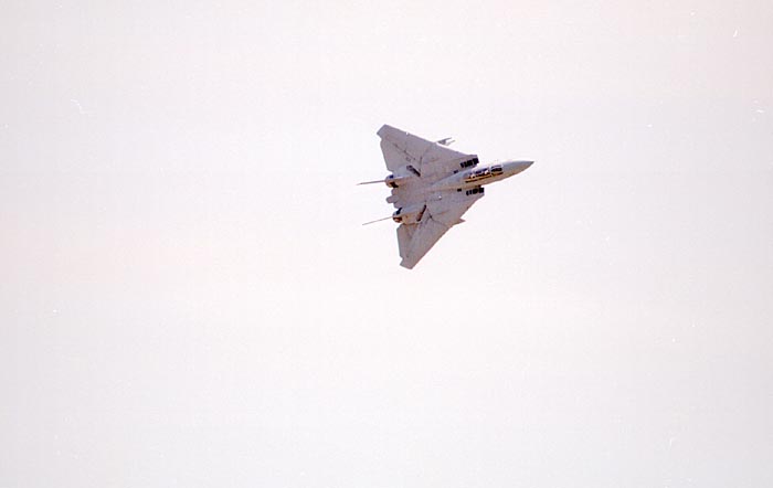 F14-Tomcat25.jpg