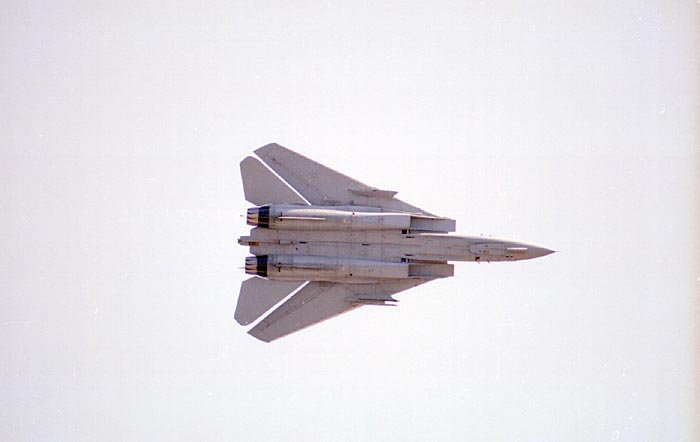 F14-Tomcat26.jpg