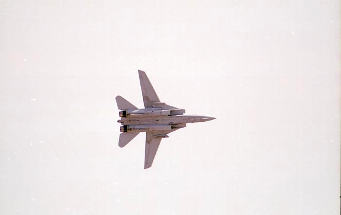 F14-Tomcat8.jpg