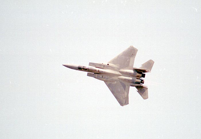 F15-Eagle13.jpg