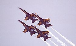 Blue Angels23.jpg