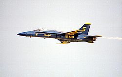 Blue Angels37.jpg