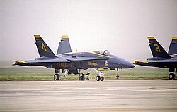 Blue Angels42.jpg