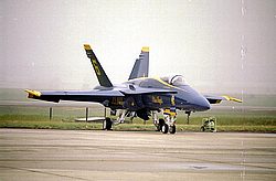 Blue Angels43.jpg