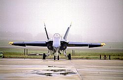 Blue Angels46.jpg