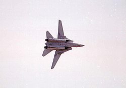 F14-Tomcat11.jpg