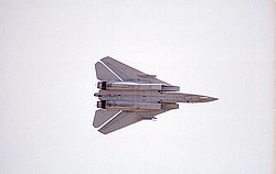 F14-Tomcat26.jpg