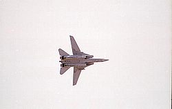F14-Tomcat8.jpg