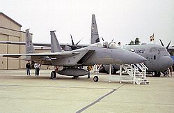 F15-Eagle48.jpg