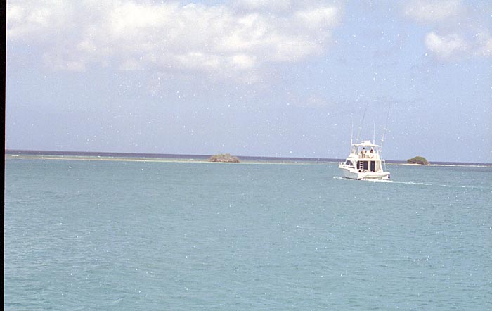 aruba008.jpg