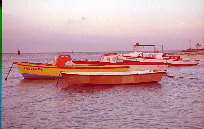 aruba039.jpg