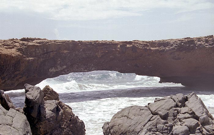 aruba040.jpg