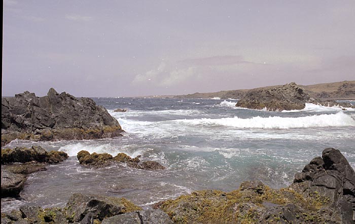 aruba042.jpg