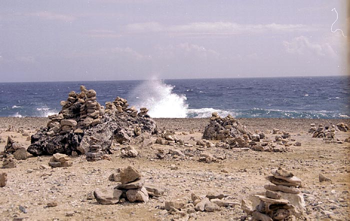 aruba059.jpg