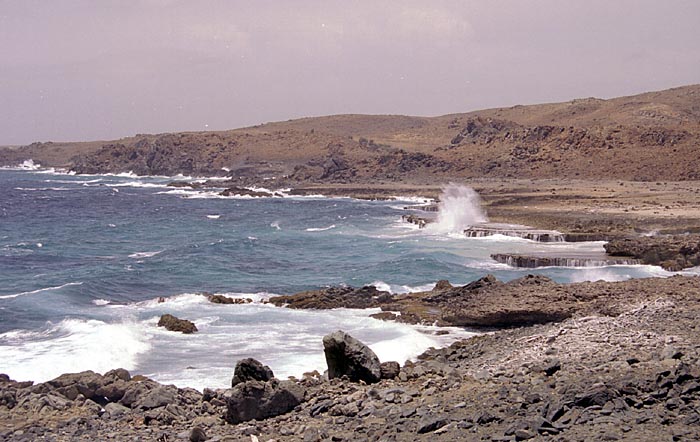 aruba063.jpg