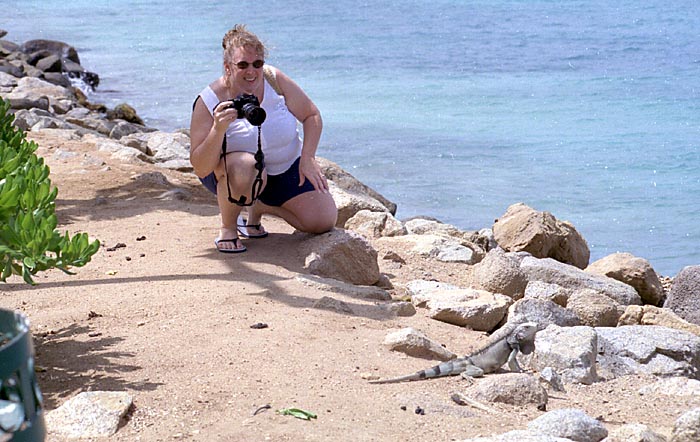 aruba071.jpg