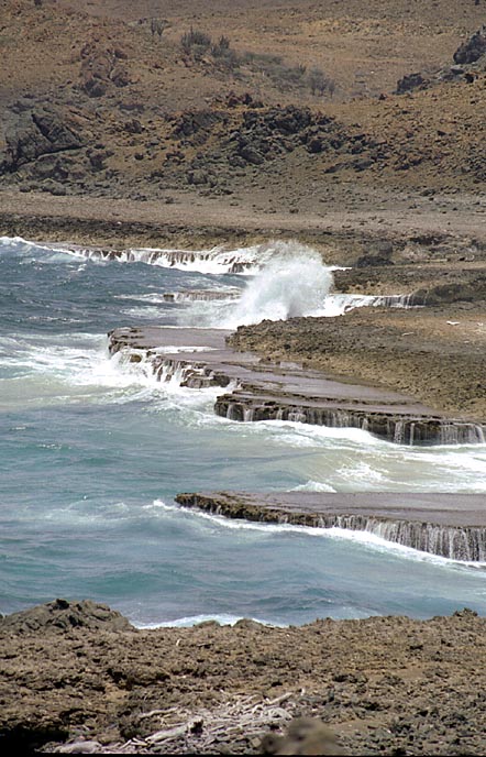 aruba075.jpg