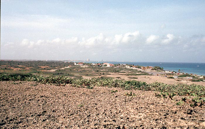 aruba081.jpg