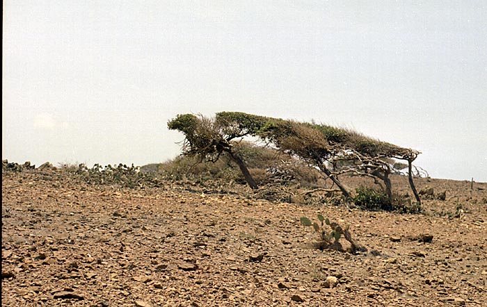 aruba086.jpg