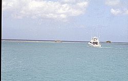 aruba008.jpg