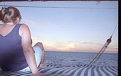 aruba012.jpg