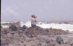 aruba022.jpg