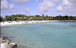 aruba038.jpg