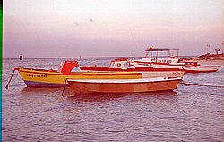 aruba039.jpg