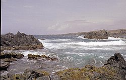 aruba042.jpg