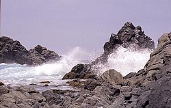 aruba051.jpg