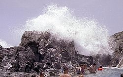 aruba056.jpg