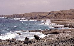 aruba063.jpg