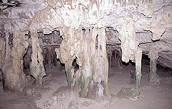 aruba066.jpg