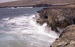 aruba078.jpg