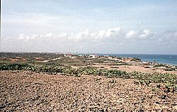 aruba081.jpg