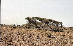 aruba086.jpg