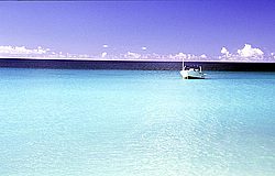 Fset005.jpg