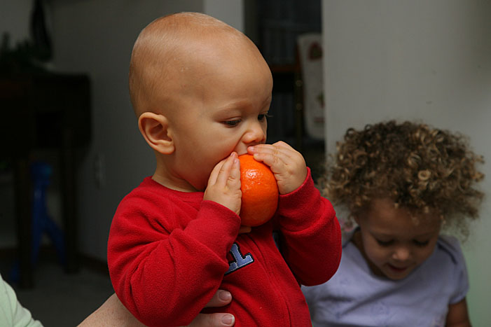 Image37.jpg