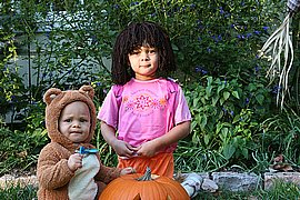 Image02.jpg