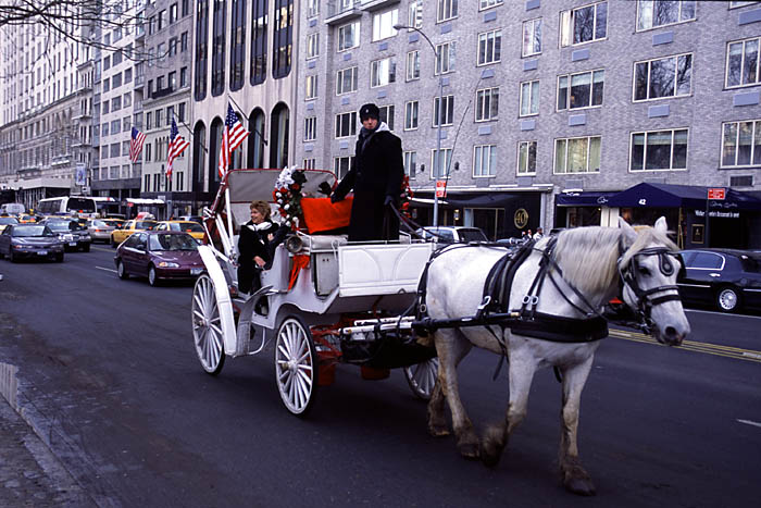 Carriage.jpg