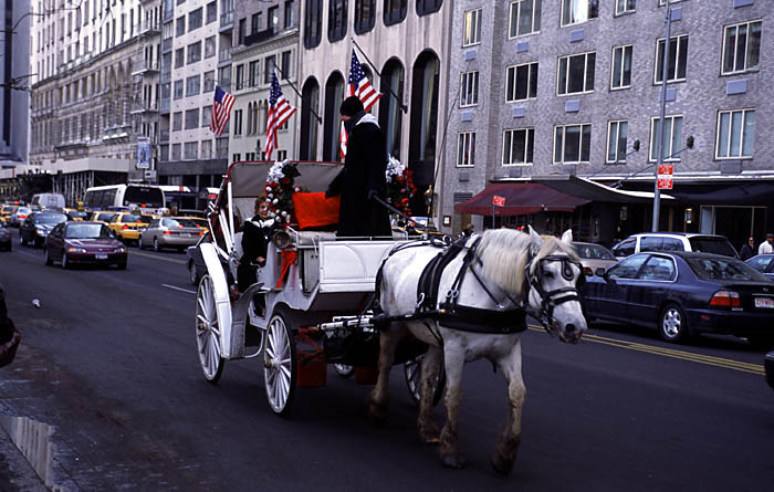 Carriage2.jpg