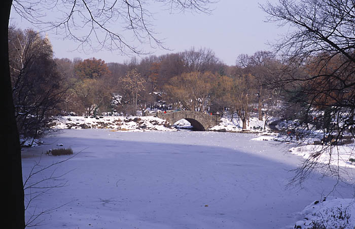Central park.jpg