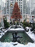 114-1460_CRW.jpg