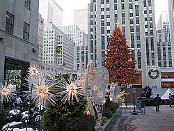 114-1462_CRW.jpg