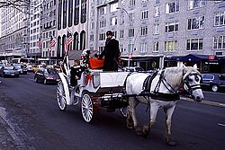 Carriage.jpg