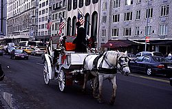 Carriage2.jpg