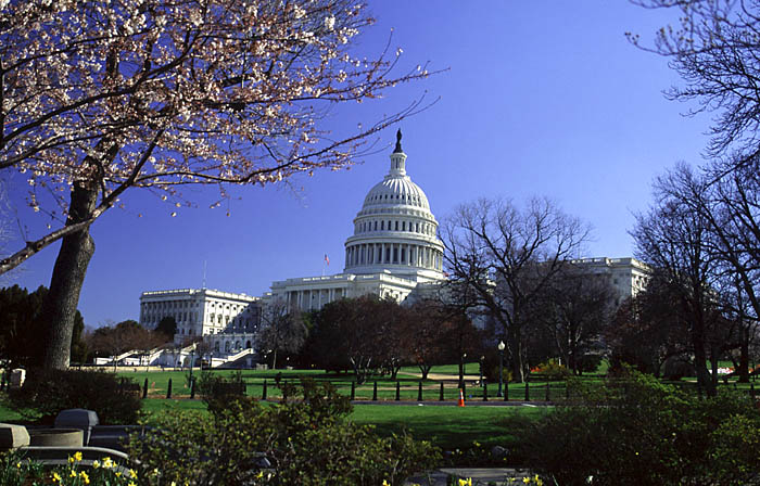 Wash_DC08.jpg