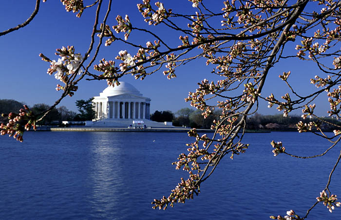 Wash_DC10.jpg