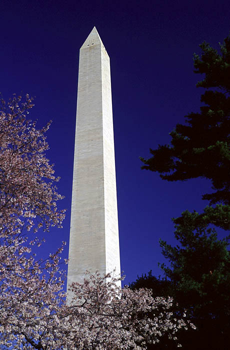 Wash_DC18.jpg