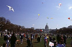 Wash_DC06.jpg